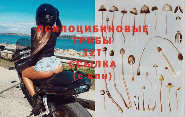 альфа пвп Ладушкин