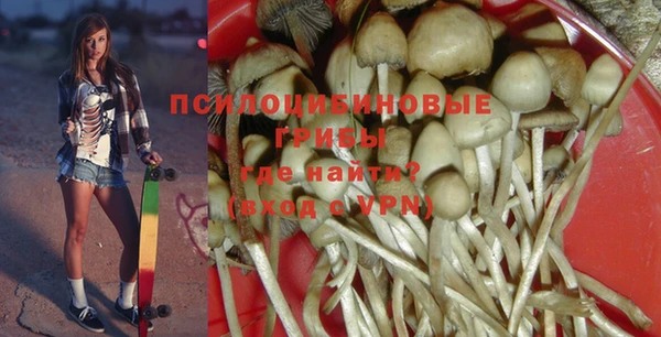 дживик Лабытнанги
