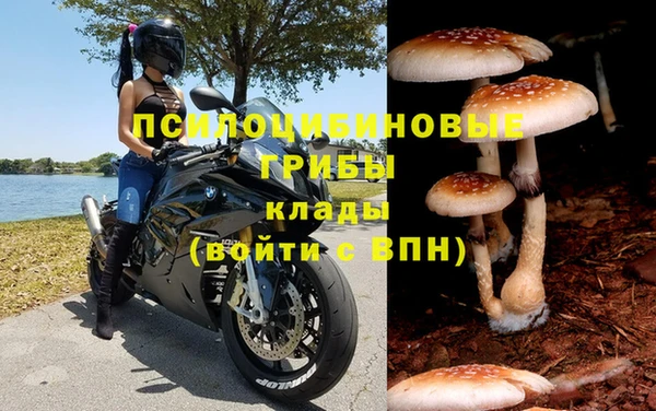 дживик Лабытнанги