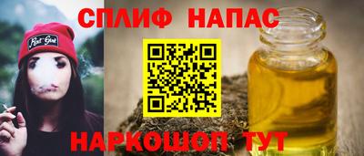ГАЛЛЮЦИНОГЕННЫЕ ГРИБЫ Кингисепп
