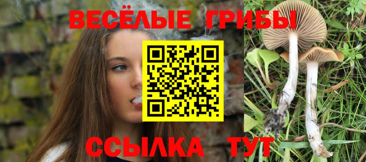 Галлюциногенные грибы прущие грибы Усть-Илимск