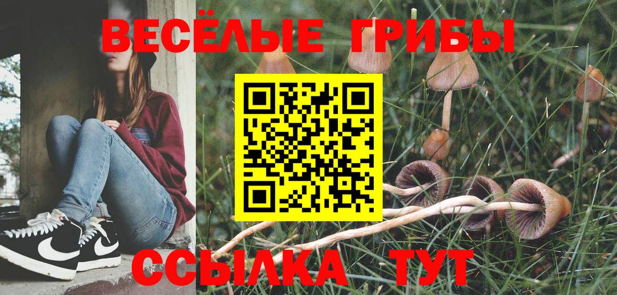 Псилоцибиновые грибы мицелий Усть-Илимск